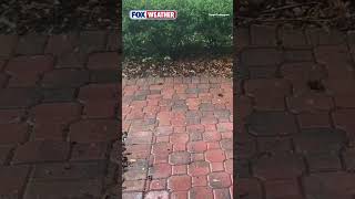 Heavy Hail Slams Florida As Severe Weather Impacts The Region