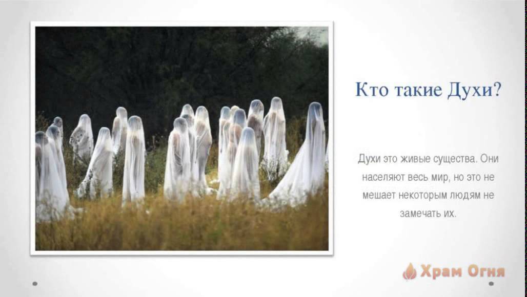 Кто такие духи. Духи это история 5. Кто такие духи рода. Введение парфюмерия. Объясните что такое духи.