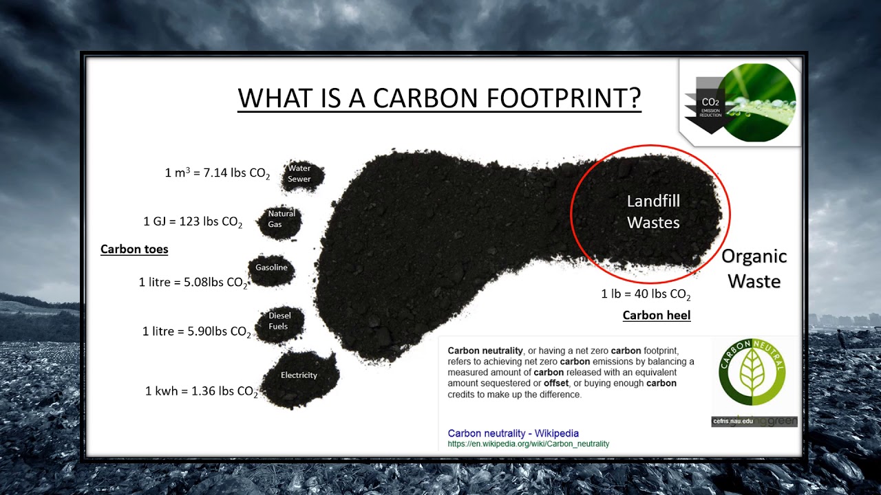Flip landfill filling up YouTube
