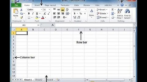 Class 5 Lesson 8 Microsoft Excel ( Introduction)