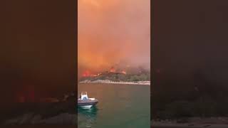فيديوهات: 105 حرائق غابات مشتعلة في 35 بلدة في تركيا مع دخول حرائق مدمرة يومها الخامس
