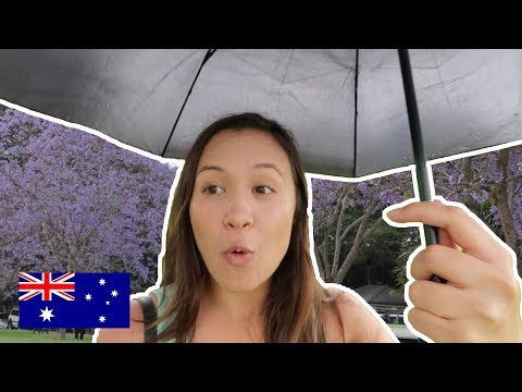 Video: Vremea și clima din Brisbane