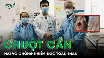 Hai vợ chồng nhiễm độc toàn thân nguy kịch do bị chuột cắn vào tay | SKĐS