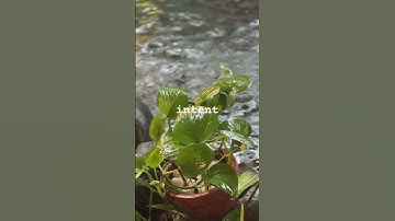 Correct intent creates correct action