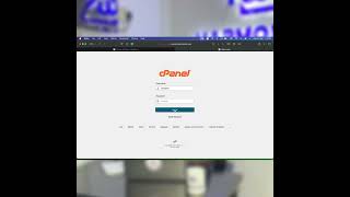 How to fix the error and add the missing "new plugin" button in WordPress.