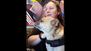 BringFido Founder Talks with Pet Age