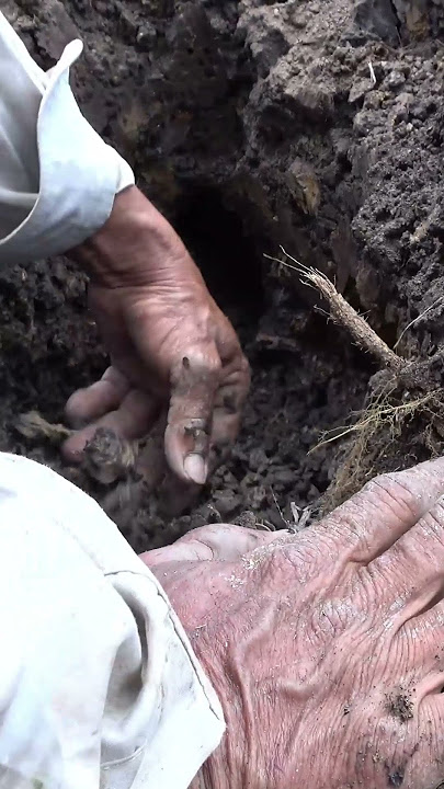 Lần theo dấu vết để lại/ Săn Bắt TV