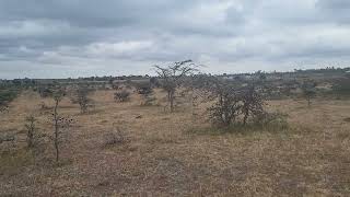 Kiserian Plots for sale near Koko's and Happyland girls seniour school @650k, +254 725 88 4003