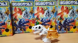 ほねほねザウルス29巻☆ Amazon.co.jp: ほねほねザウルス29: いくぞ! なぞの王国ムシムシ
