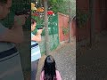 Chondhe Farm Lonikand Pune | Best adventure resort near Pune | Best weekend gateway