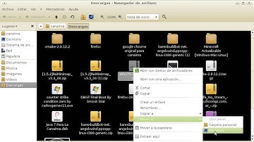 Como cambiar el Cursor de tu Canaima