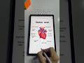 Taking digital human heart notes❤️‍🔥| Samsung Tab | #tablet #digital #human #heart #notes