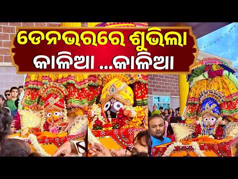 ଡେନଭରରେ ଧୁମଧାମରେ ପାଳିତ ହେଲା ରଥଯାତ୍ରା | Knews Odisha