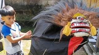 Finding a Blora Nagis Barongan in the Yard