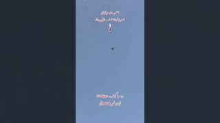 38 temperature pigeon landing