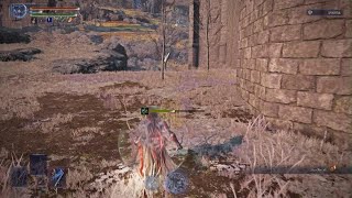 Executor Depth 3 Solo ep.8: Dreglord