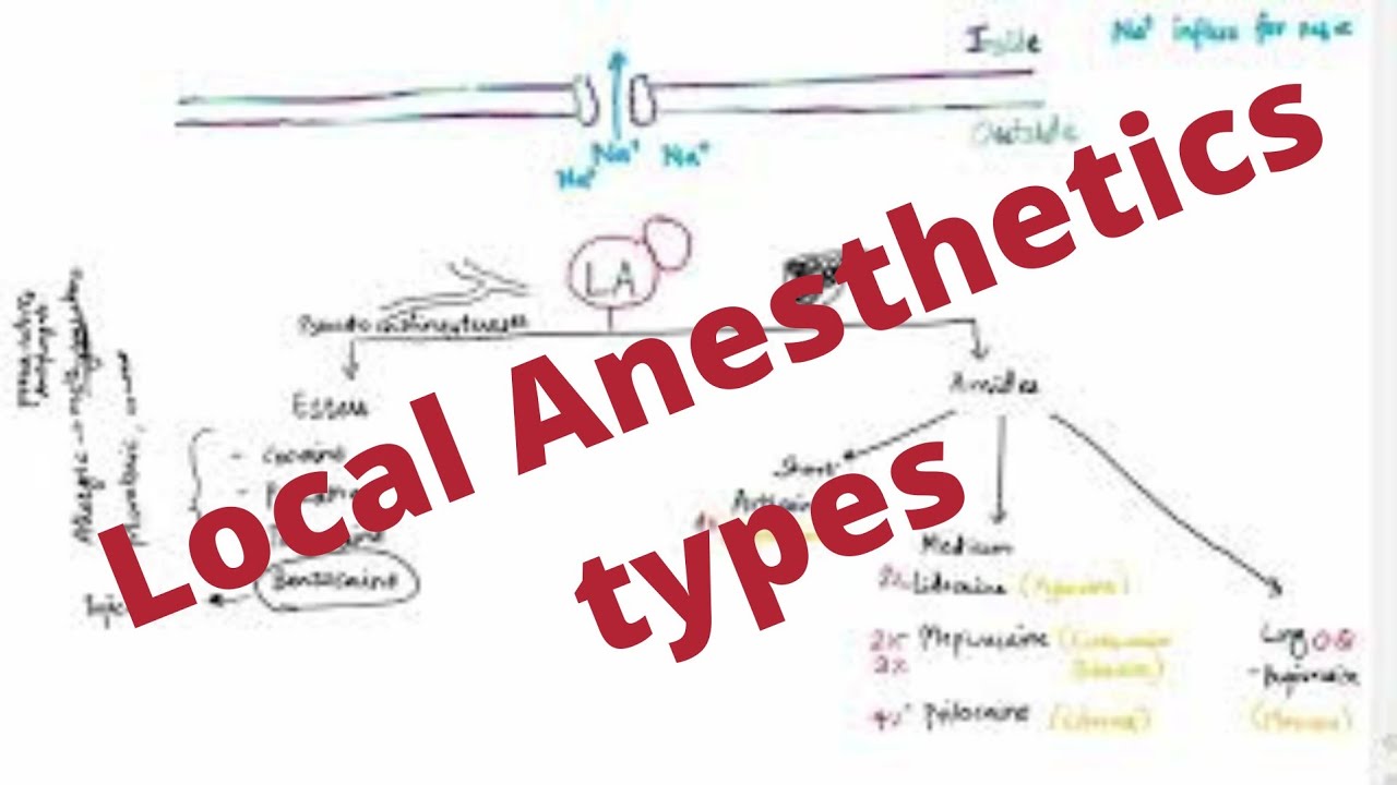 Local Anesthetics Mind map YouTube