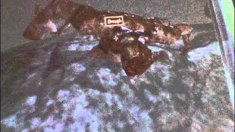 Morrowind WEIRD glitch