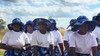 Empowering Zimbabwe’s Smallholder Farmers Through Training & Resilience 🌱🇿🇼