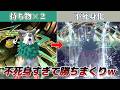 ゴーゴートが不死身すぎて羊ww【Pokémon Champions】