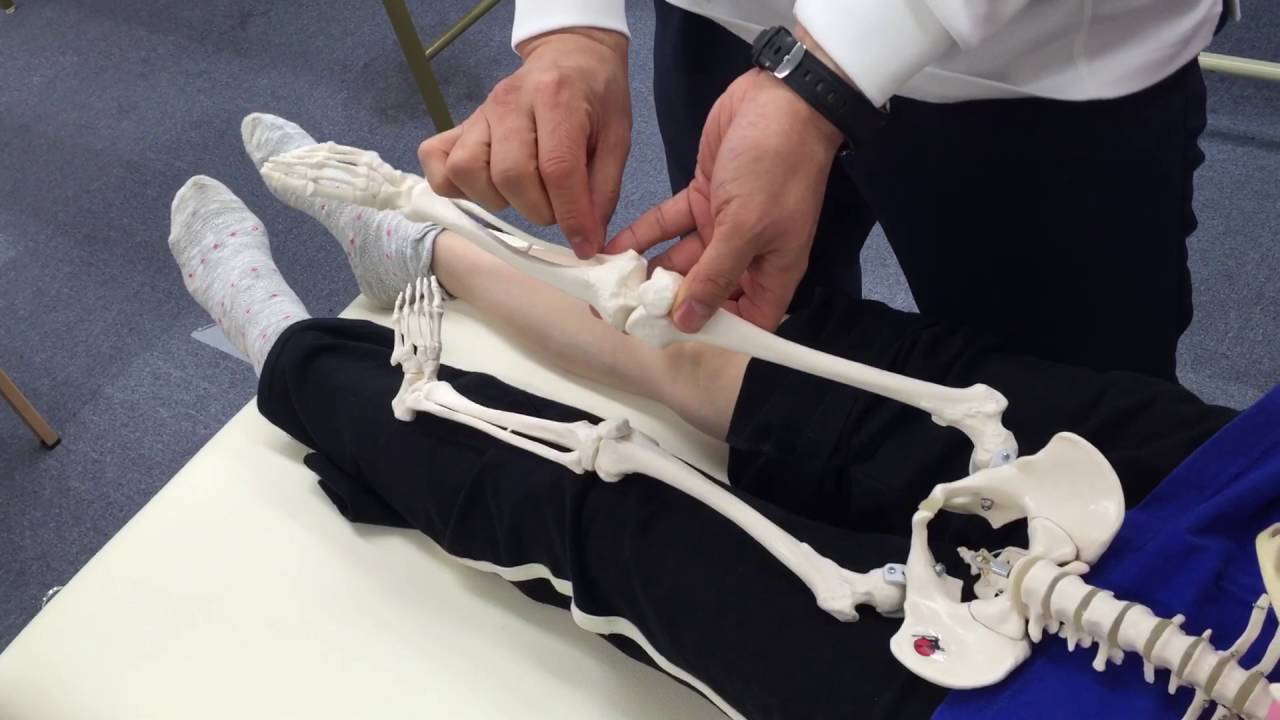 11 Mtセラピー脛骨腓骨調整 Youtube