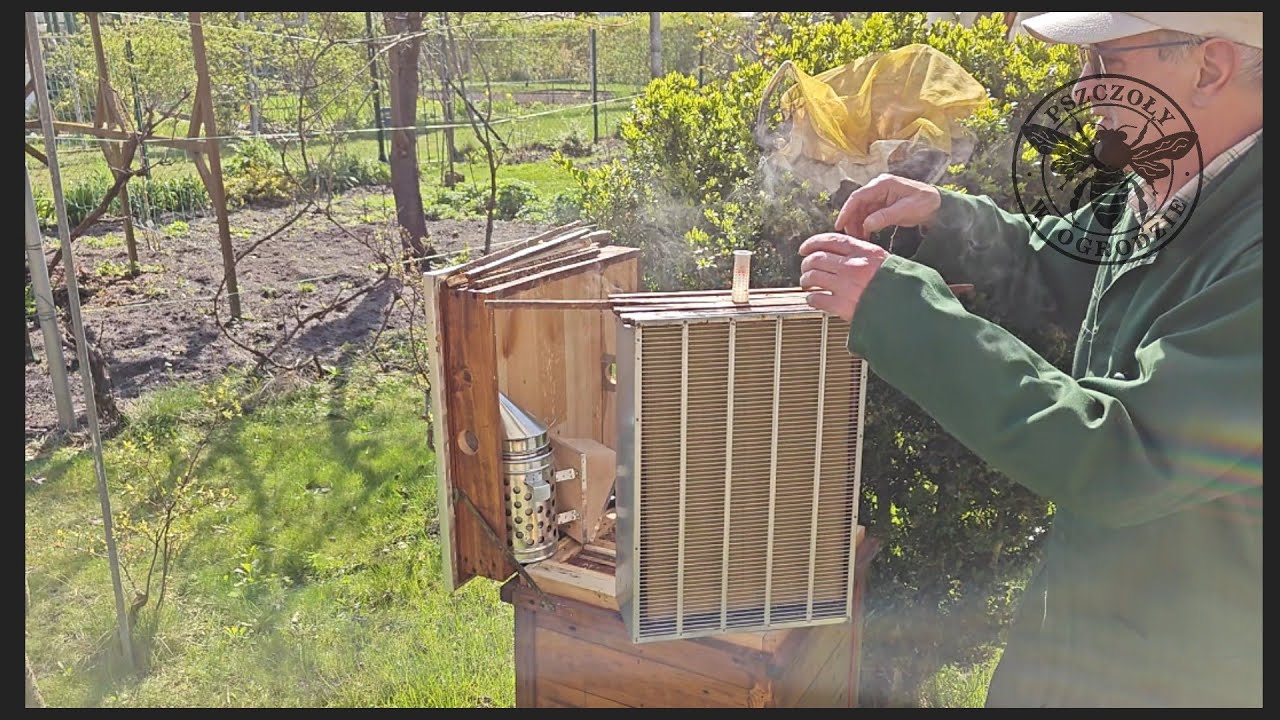 Pszczoły w ogrodzie, instaluję w ulu izolator.