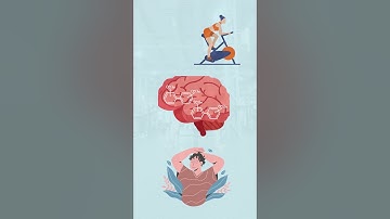 Breaking the Cycle: Understanding Exercise Addiction