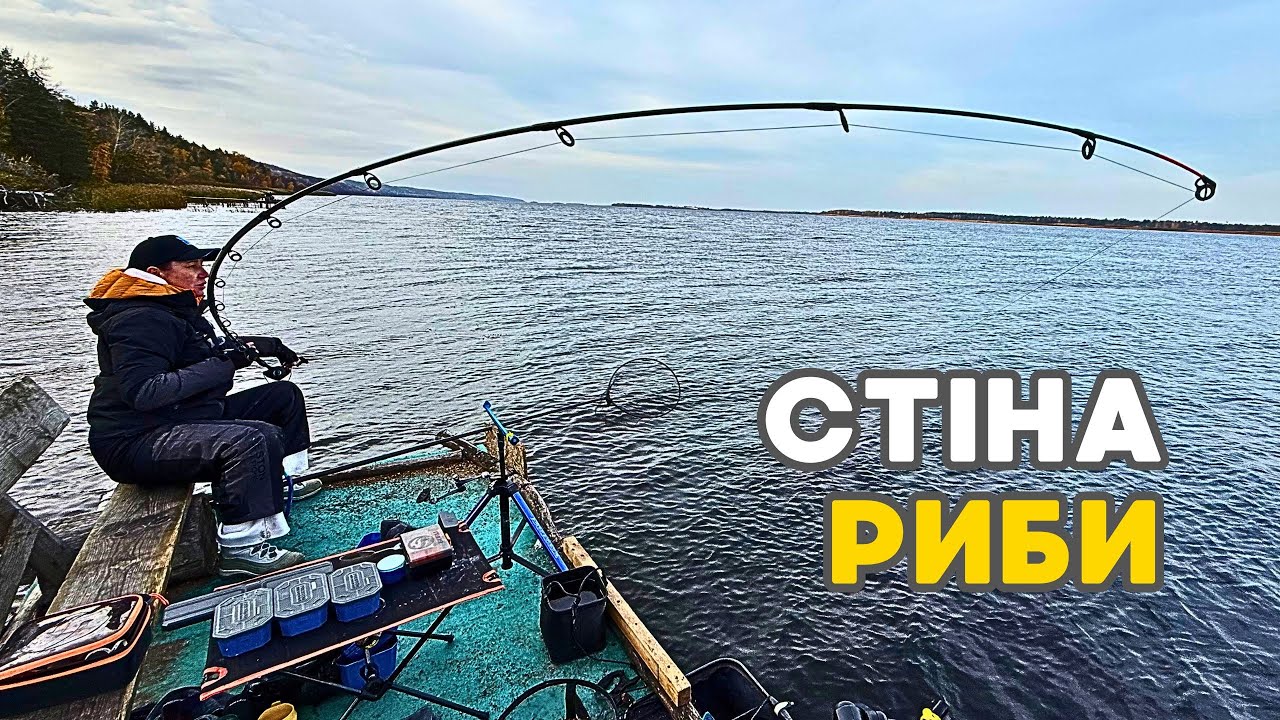 В цій ЯМІ риби ВАГОН!!! БУРШТИН під КИЄВОМ🤯  Роздача плотви на ФІДЕР🎣