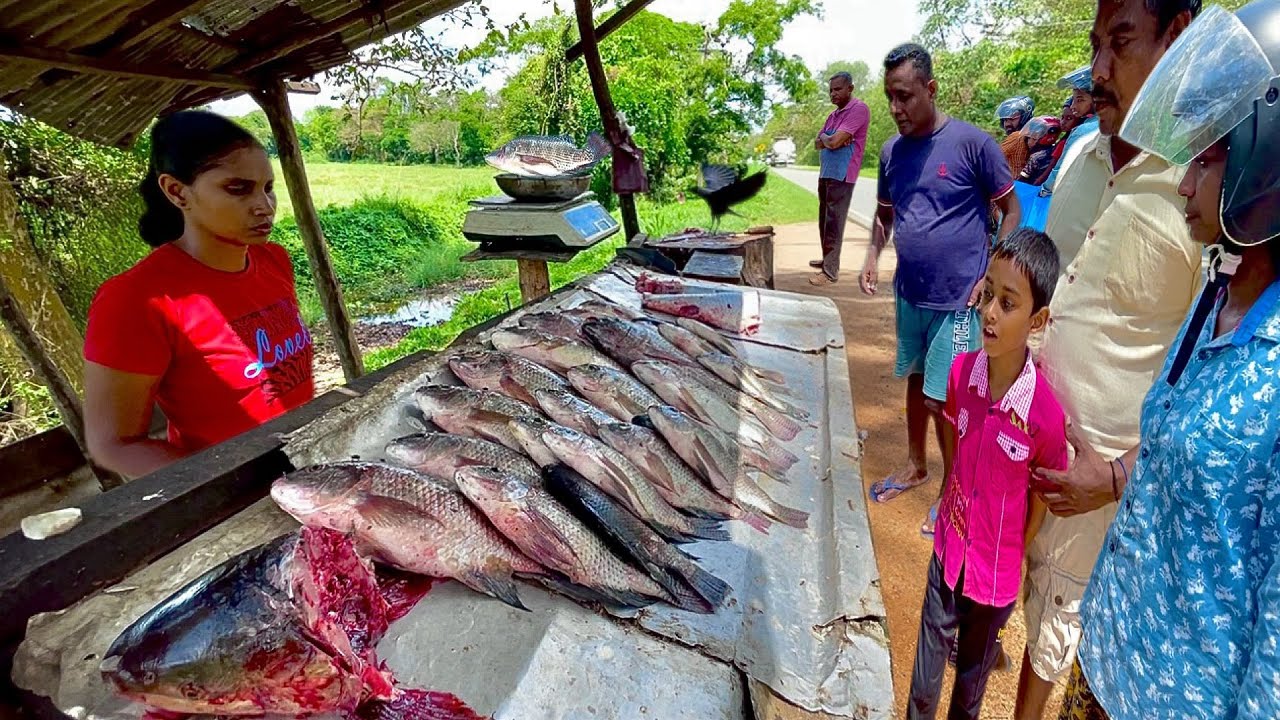 Attractive! Rustic Village's Fisherman Showcased His Amazing Talent in Street Market