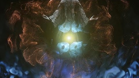 Create a Reaper Logo Intro Animation Video - MakeWebVideo.com