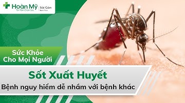 Sốt xuất huyết | Biến chứng, Triệu chứng, Dấu hiệu gì? Điều trị, ăn như thế nào?