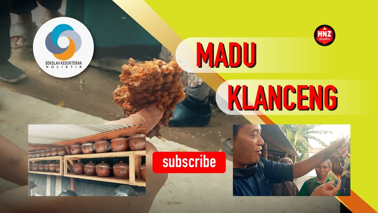 Cara Budidaya Lebah Klanceng Kendil 