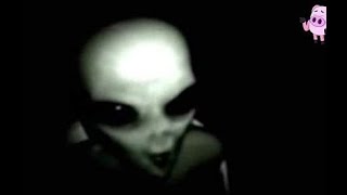 EXCLUSIVE! The Most Alarming & Disturbing Alien Abduction Case EVER! You Will ONLY Hear This HERE!
Check out www.drjradiolive.com & when old site is reuploaded, vote which you prefer as back up in case of deplatforming.
Find me on minds.com @drjradiolive
Twitter @drjradioliveNEW
Patreon will SOON have exclusives & it is @drjradiolive
Search for john ilias on Facebook & hopefully an account will be allowed to stay this time.
Email me at info@drjradiolive.com or contact pam Vredenburg, my social media manager & email assistant (since I’m crippled in hands & can no longer type on Pc)
Support me via PayPal maria.hrountas.ilias@gmail.com (I was also de platformed off Paypal as well so I have to use a family members account as my own)
Want to send me a a present or money or anything good?
Send to:
John ilias
9512 Whitaker Ave
Northridge CA 91343 EXCLUSIVE! The Most Alarming & Disturbing Alien Abduction Case EVER! You Will ONLY Hear This HERE!