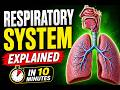 Respiratory System Explained in 10 Minutes | Respiratory Pathway Lecture