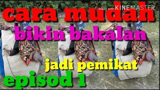 CARA JADIKAN TERKUKUR BAKALAN.... MENJADI PIKAT TAHAP KE 1