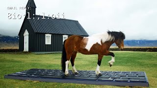 Horses Write Emails for Travelers to Iceland