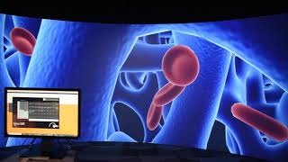 360-degree Immersive Visualization Room - MSU's Digital Scholarship Lab
