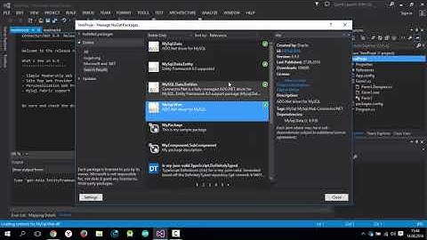 Entity Framework Kurulumu Nedir Nasıl Çalışır?