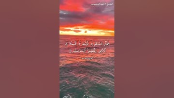 سورة محمد من آية 21 إلى آية 24 بصوت الشيخ ياسر الدوسري♥♥