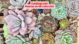 Catalogo con PLANTAS DE MI COLECCION VENTA FACCEBOCK