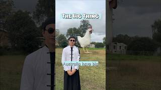 Australia has the #big #thing #chooks