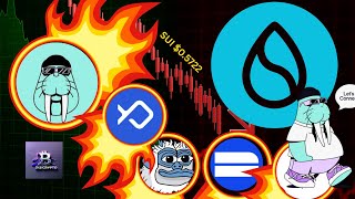 Celebrity 🔥 SUI Crash To $0.77 Next $0.5722 | 4 Undervalued Gems Before They Explode Net Worth