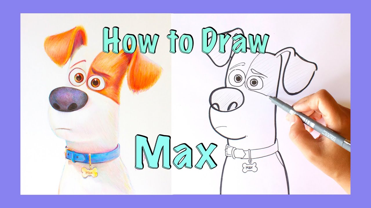 Sketching: MAX | Secret Life of Pets | How to draw - YouTube