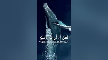 #القرآن_الكريم #foryou #fypシ #راحة_نفسية #تلاوة_هادئة #صوت_جميل #ايات #short #عبدالرحمن_مسعد