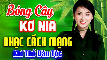 BÓNG CÂY KƠ NIA►LK Nhạc Cách Mạng Tiền Chiến 2025, Hào Hùng Khí Thế