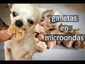 COMO HACER GALLETAS PARA PERROS EN MICROONDAS (sin horno!) ★ PetDarling Golosinas 3