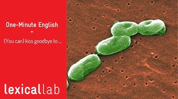 ONE-MINUTE ENGLISH: (You can) kiss goodbye to ..... LEARN WITH LEXICAL LAB