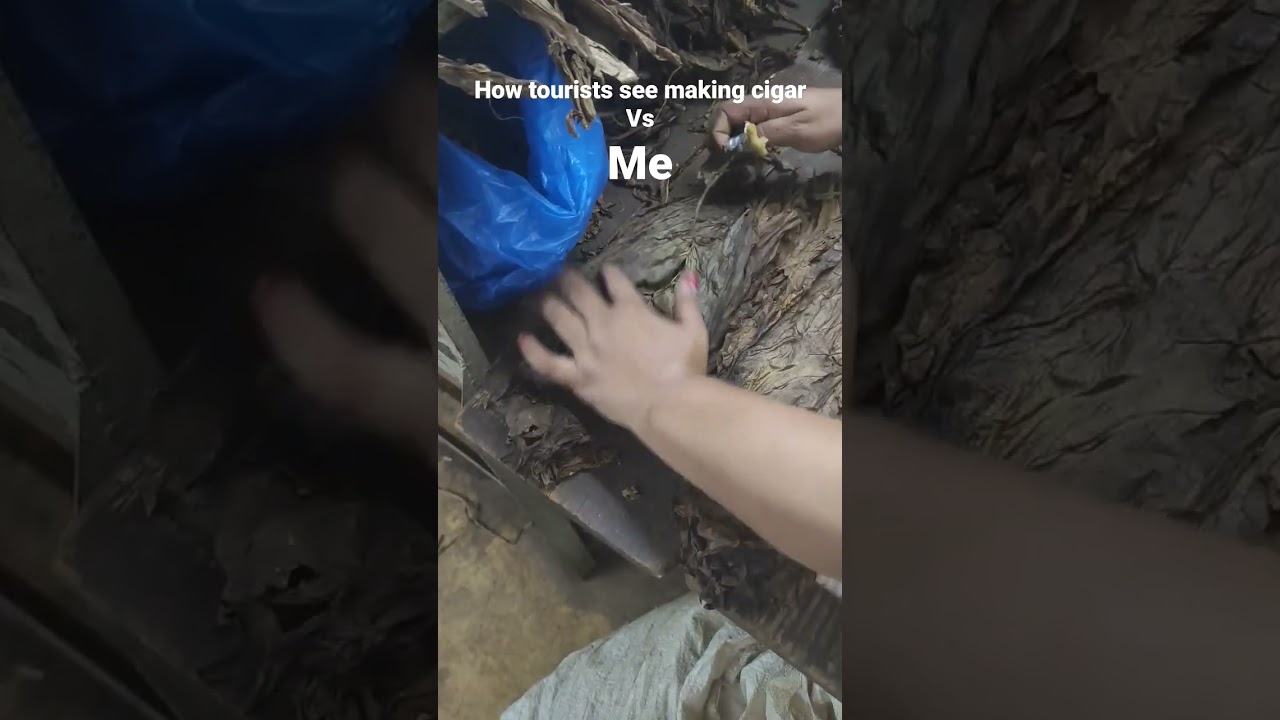 How to make a premium cigar. POV: tourists vs real
