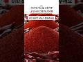 🌶 올해도 튼실하고 맛 좋은 2025년 햇고추가루 기대해주세요 ^^ 1년 내내 전북 진안의 최상급으로 굵기 &amp; 맵기 다양하게 판매중입니다!이노집 010 8877 4062