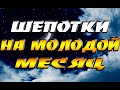 Шепотки на молодой растущий месяц - чтобы деньги водились, для здоровья